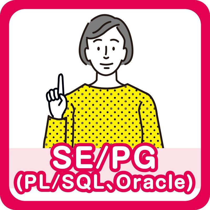 SE/PG（PL/SQL、Oracle）／株式会社パレネ