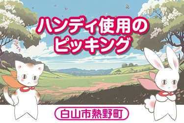 白山市　ハンディ使用のピッキング／株式会社メビウス