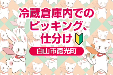 白山市　冷蔵倉庫内でのピッキングや仕分け
