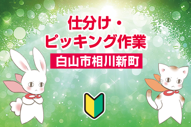 白山市　仕分け・ピッキング作業