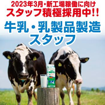 【金沢市】牛乳・乳製品製造スタッフ／株式会社ホリ乳業