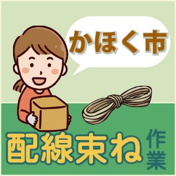 かほく市　配線束ね作業／ウイルフラップ株式会社